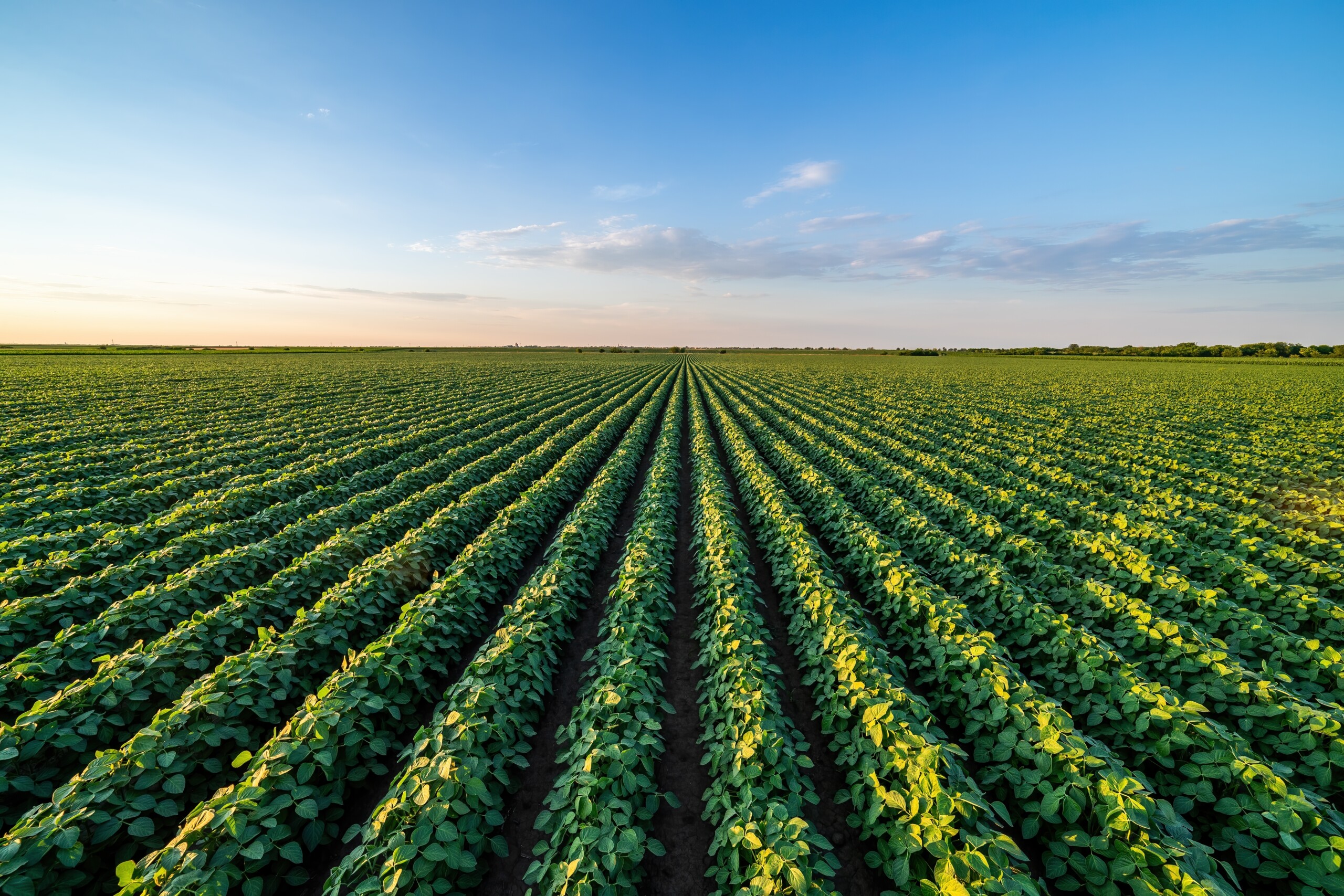 Agrifutures Microsoft Purview